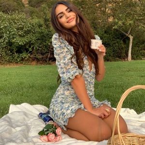 Windsor Store blue floral dress